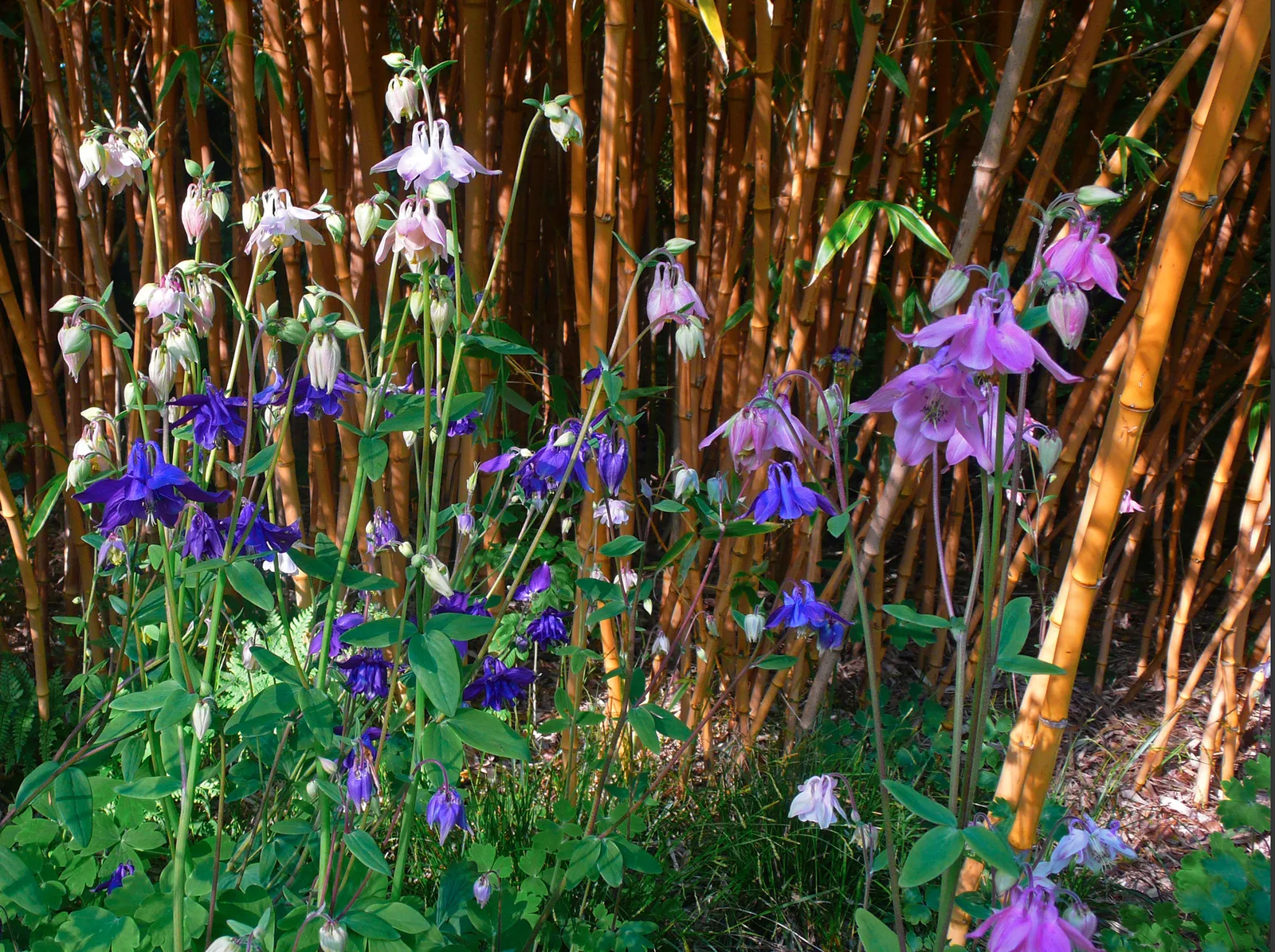 Jardin d'Art et d'Essais