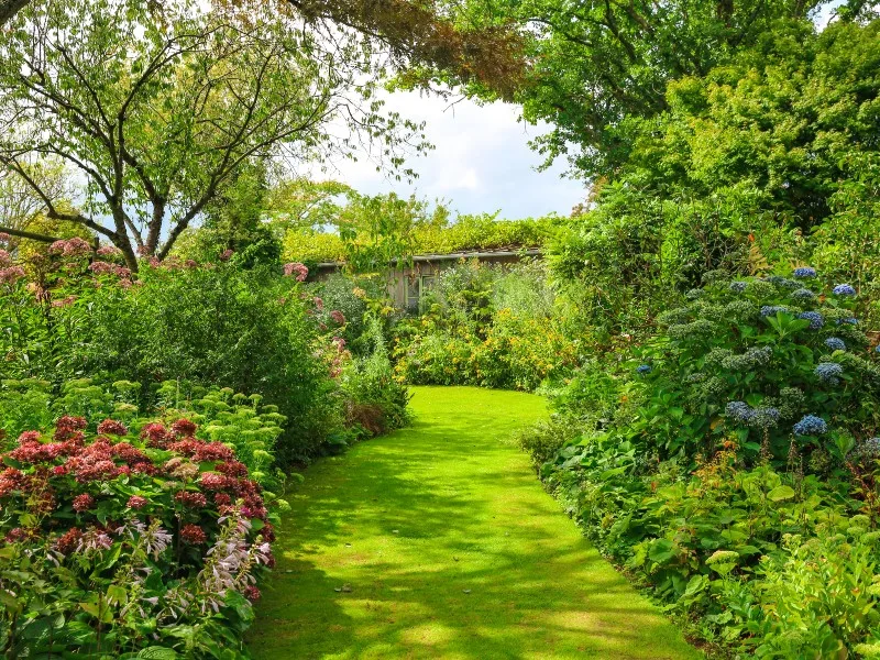Jardin de Valérianes
