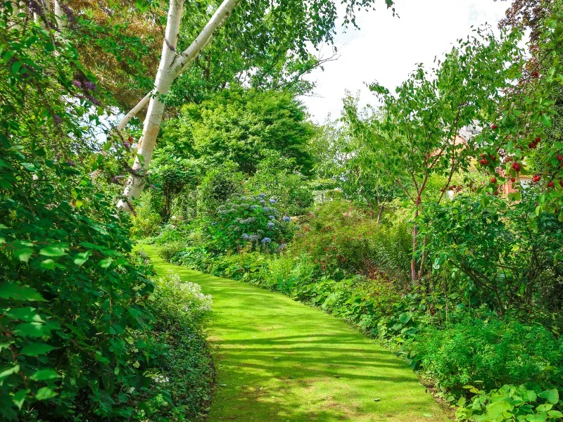 Jardin de Valérianes