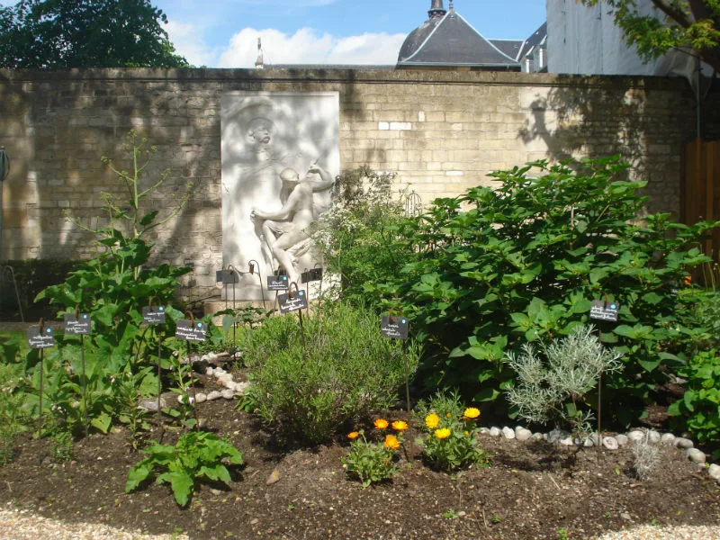 Jardin du Musée Flaubert et d'Histoire de la Médecine