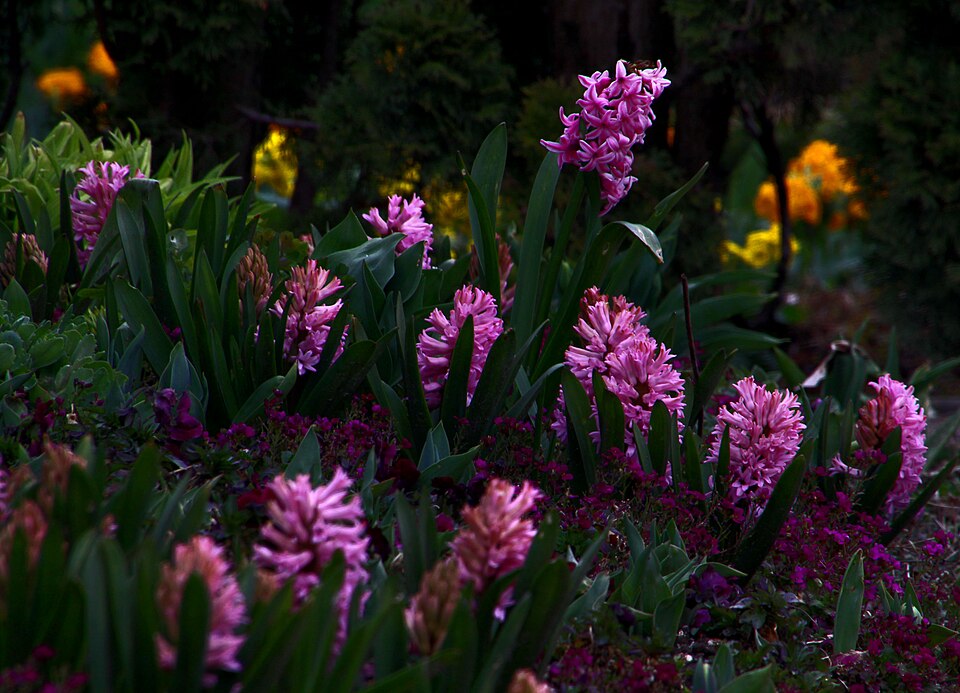 Jardin du musée des impressionnismes Giverny