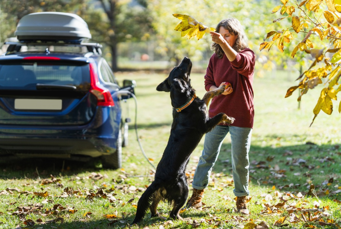 Jouer avec son chien pendant la charge