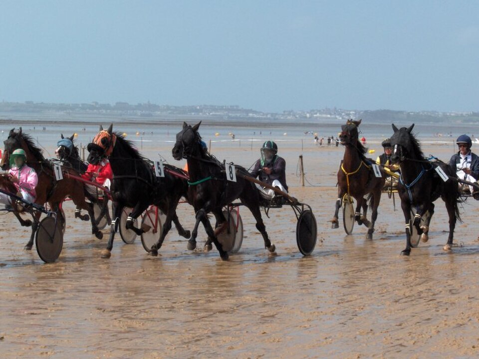 Jullouville_CoursesHippiques_2007