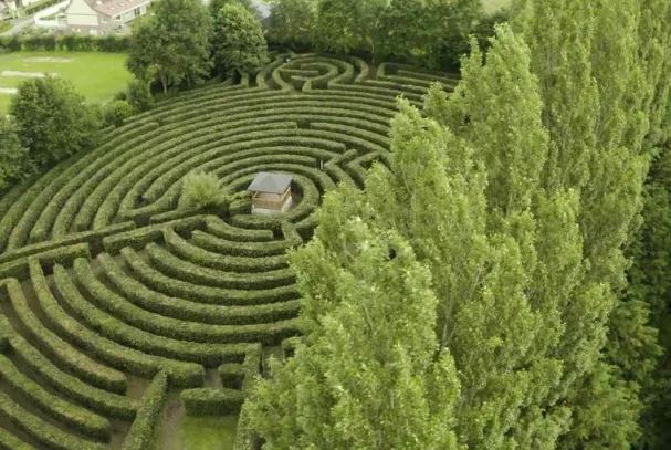 Labyrinthe artmazia