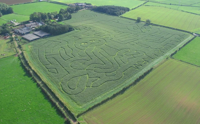 Labyrinthe de Maïs