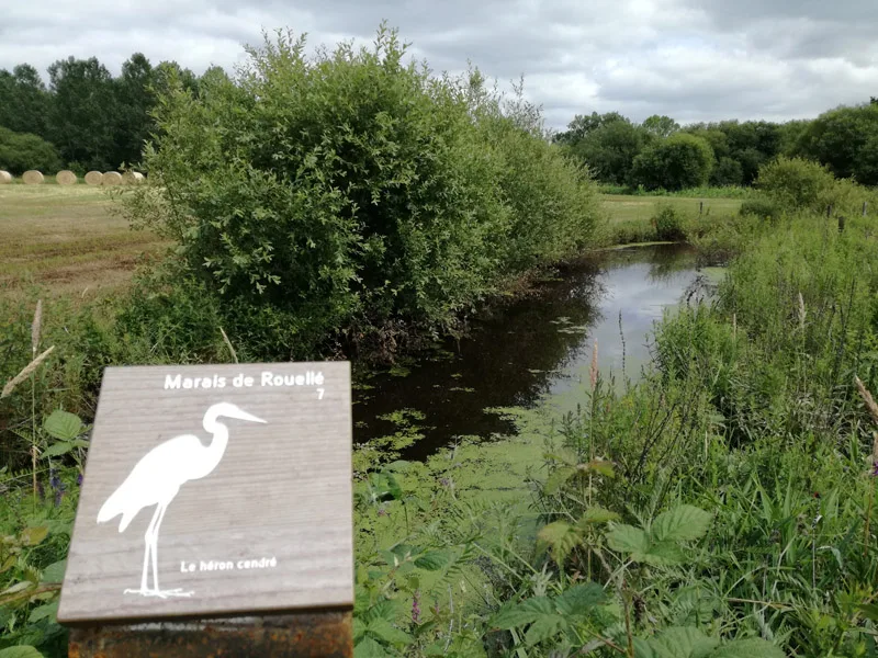 Le Marais de Rouellé