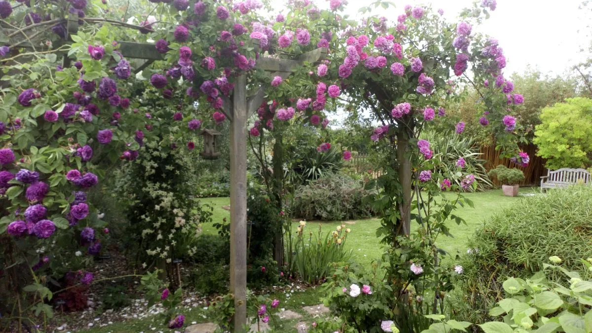 Le jardin du Presbytère de Brucheville