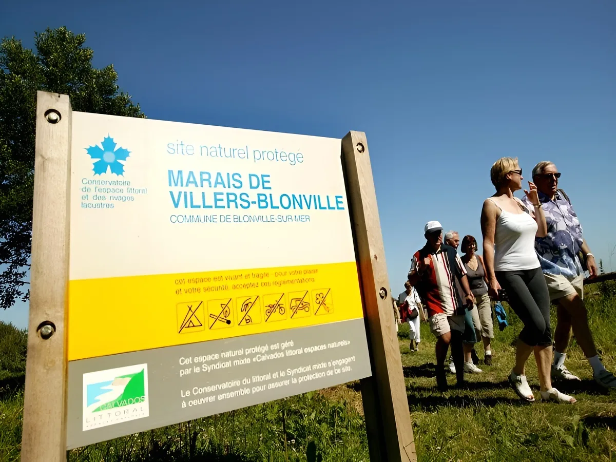 Le marais de Blonville-Villers