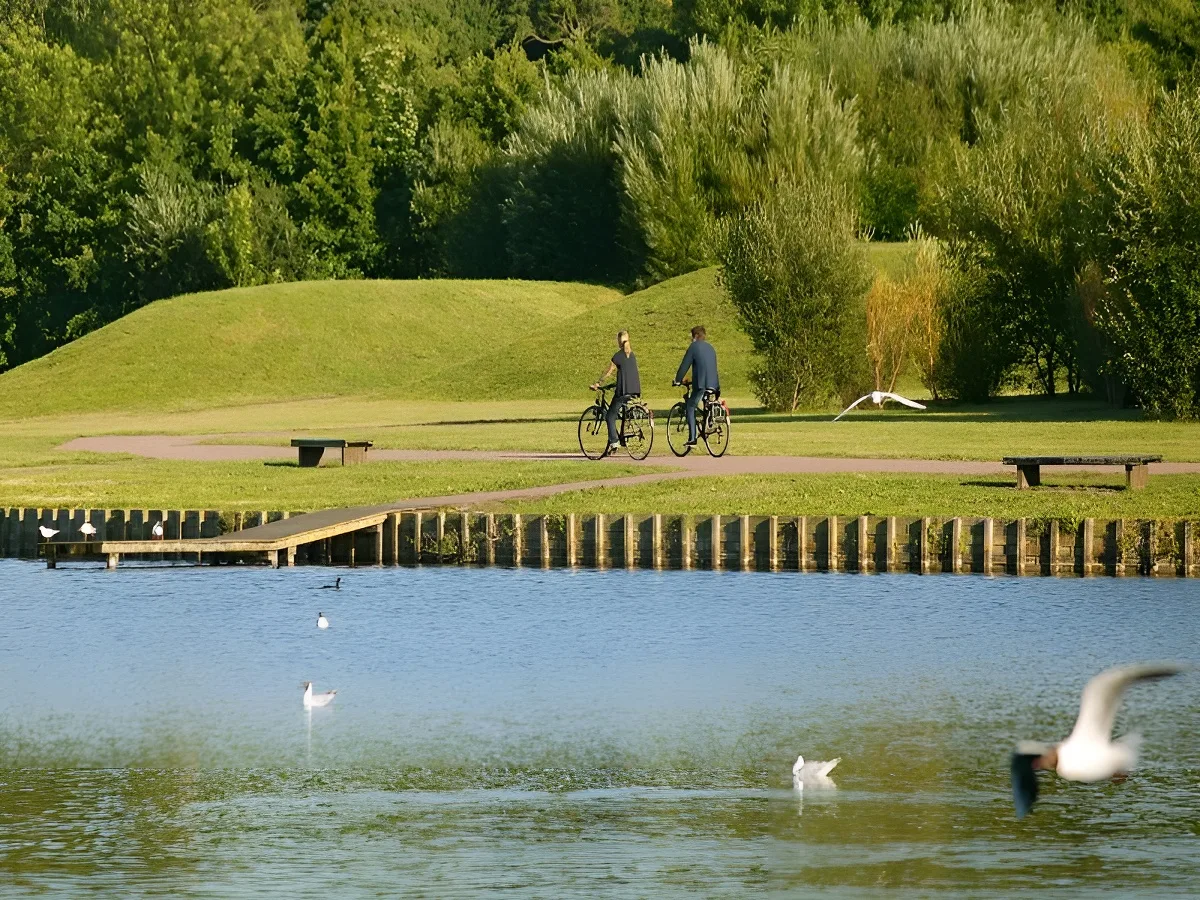 Le marais de Blonville-Villers