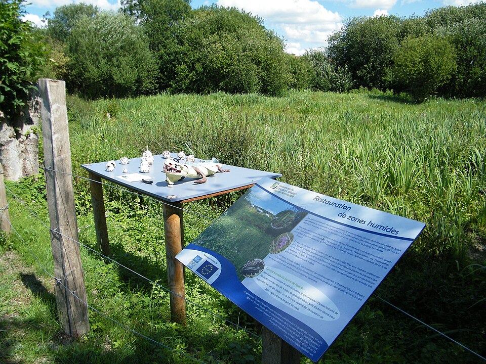 Marais de Fesques