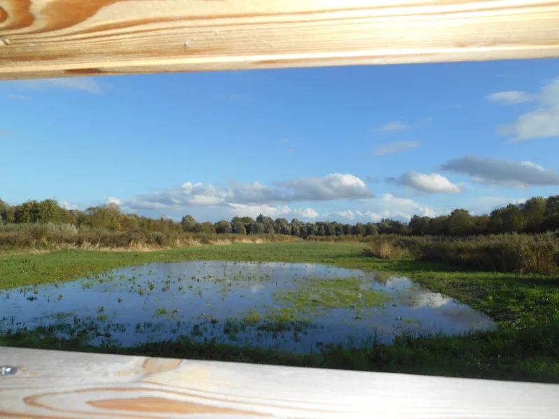 Marais de Sainte-Croix