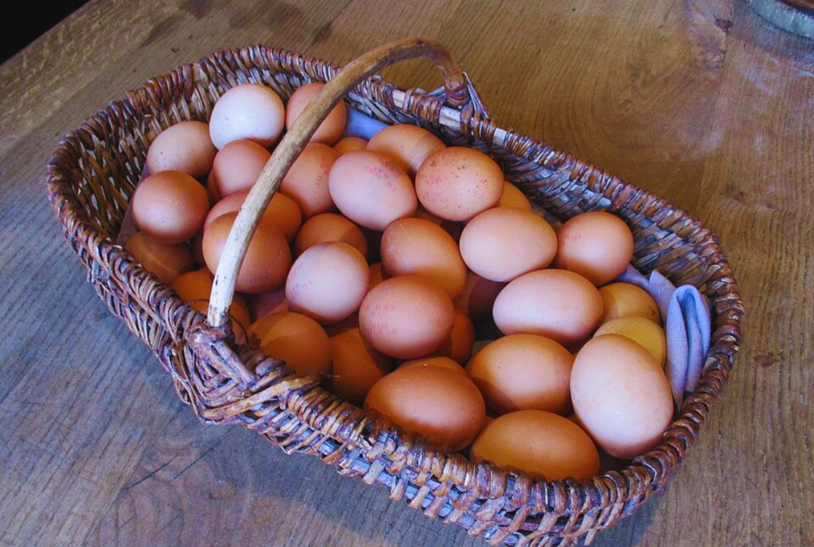 Omelette de la Mere Poulard_oeufs
