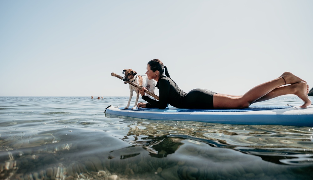 Paddle sur la mer