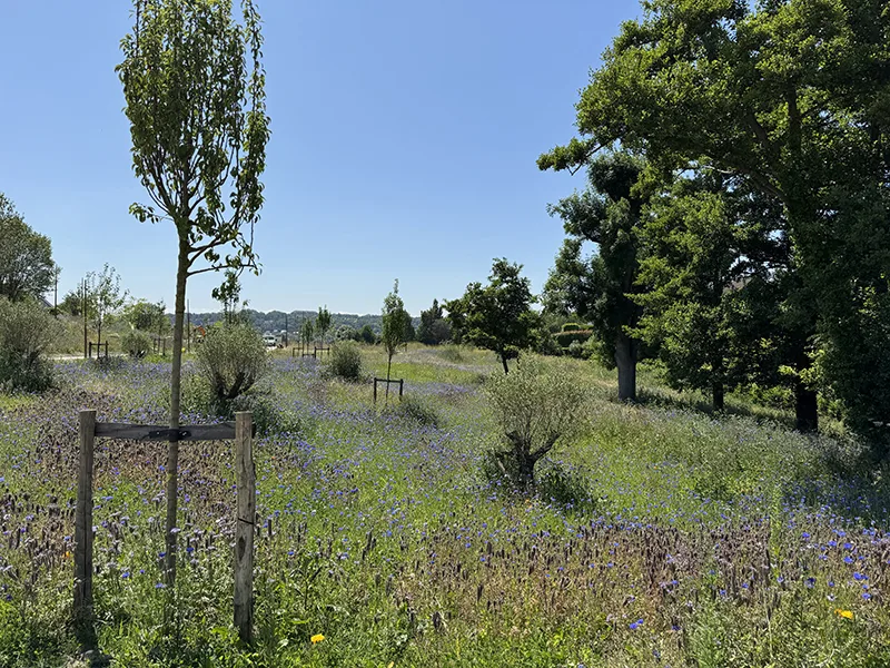Parc Colette Nouvel-Rousselot