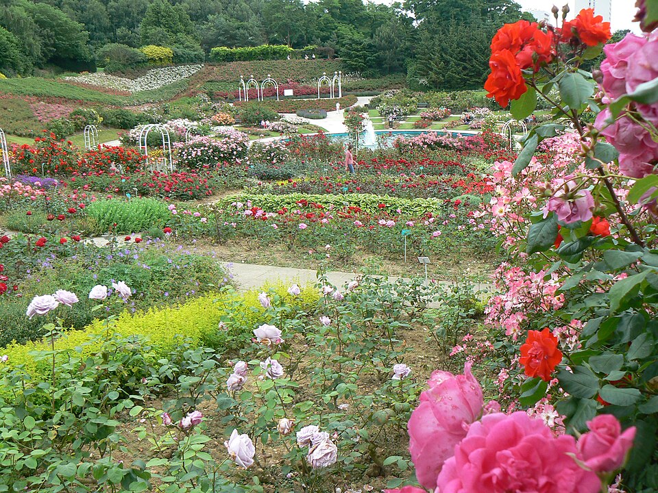 Parc de la Colline aux Oiseaux