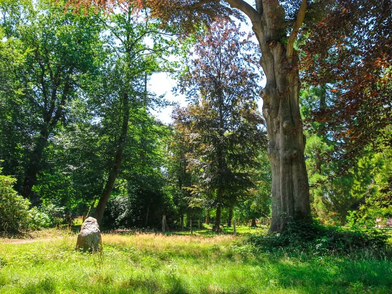 Parc du Château d'Hugleville