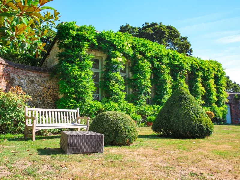 Parc du Château d'Orcher