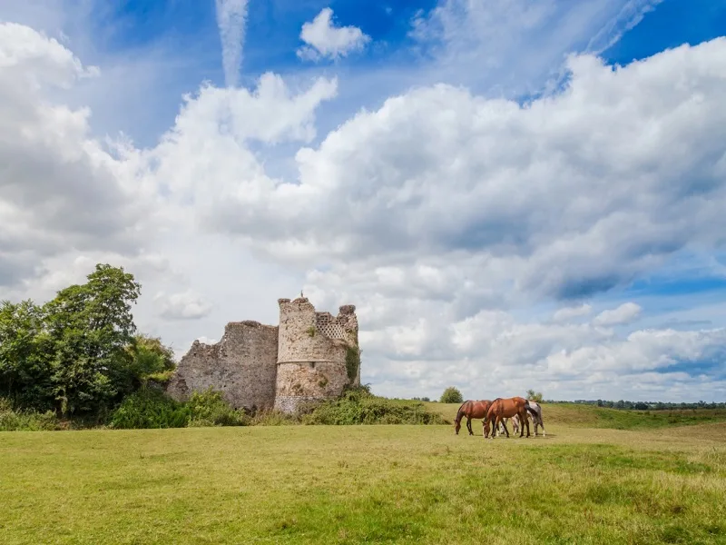 Parc du château de la Rivière Bourdet