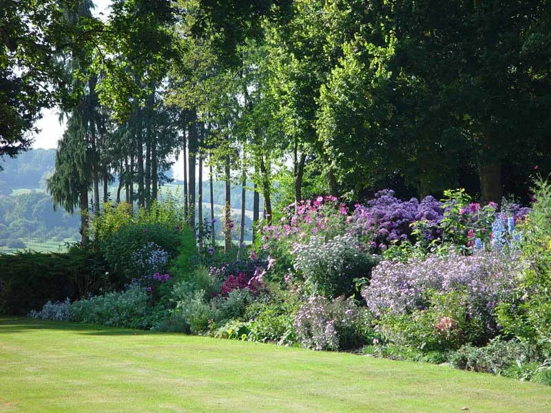 Parc du château de Lorière