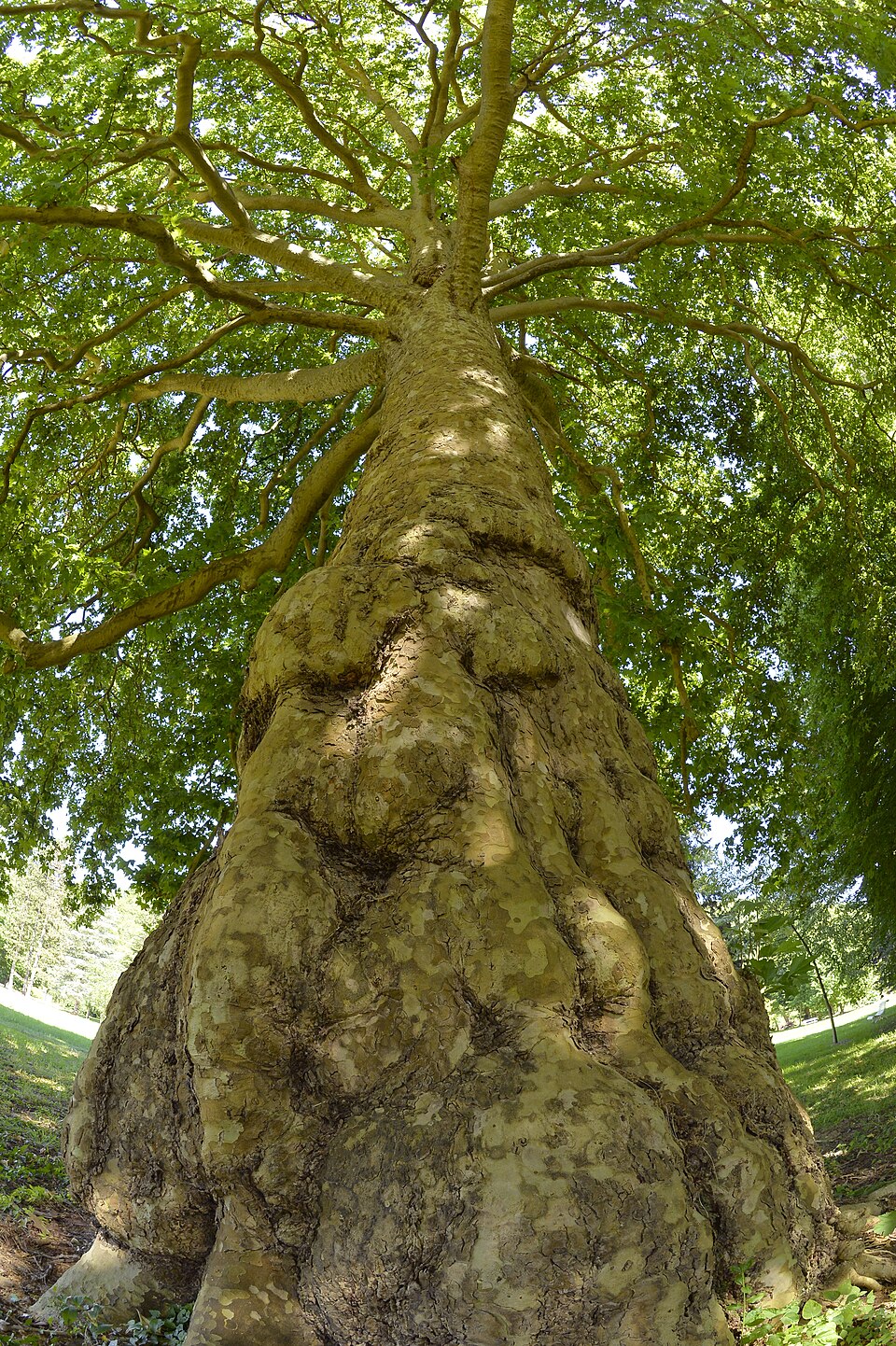 Parc et jardins du château d'Acquigny