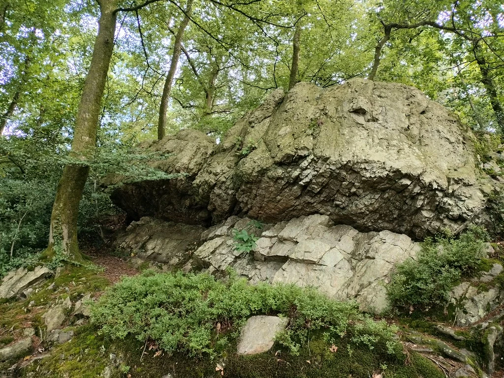 Parc_Chateau Roche-Bagnoles