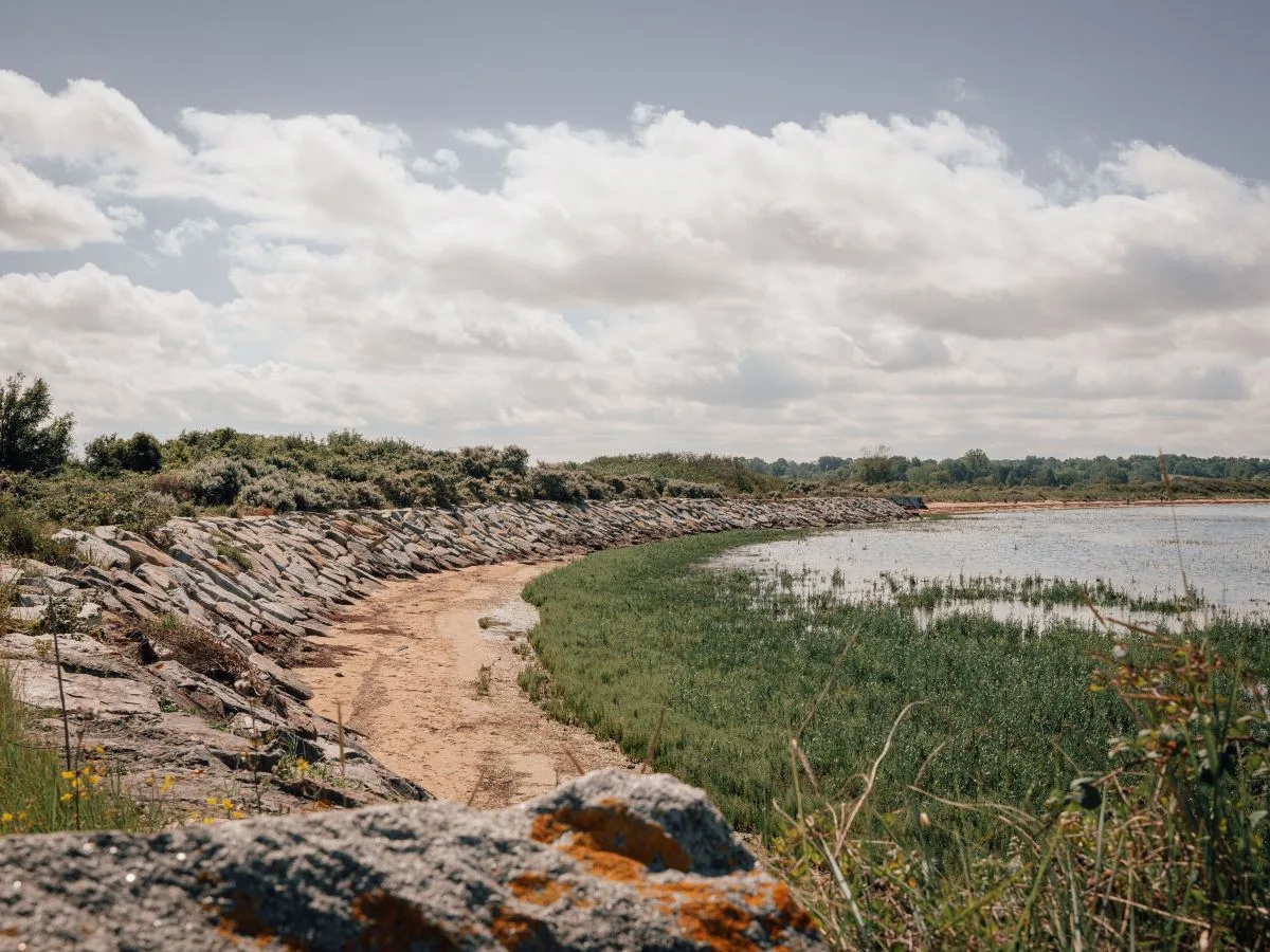 Parcours découverte des oiseaux de l'estuaire de l'Orne