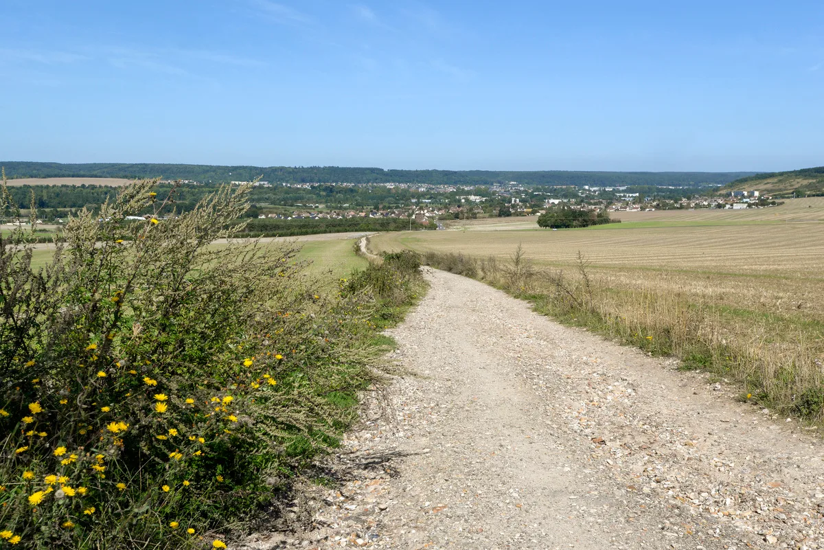 Pinterville : histoire et nature