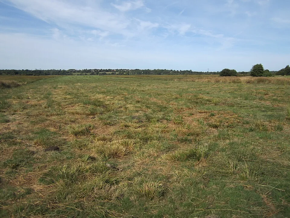 Réserve naturelle de la Sangsurière et de l'Adriennerie
