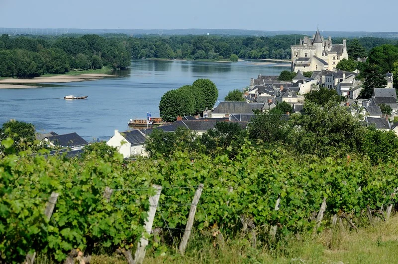 ROUTES DES VINS - VIGNOBLES ET TROGLODYTES DU SAUMUROIS, SAUMUR
