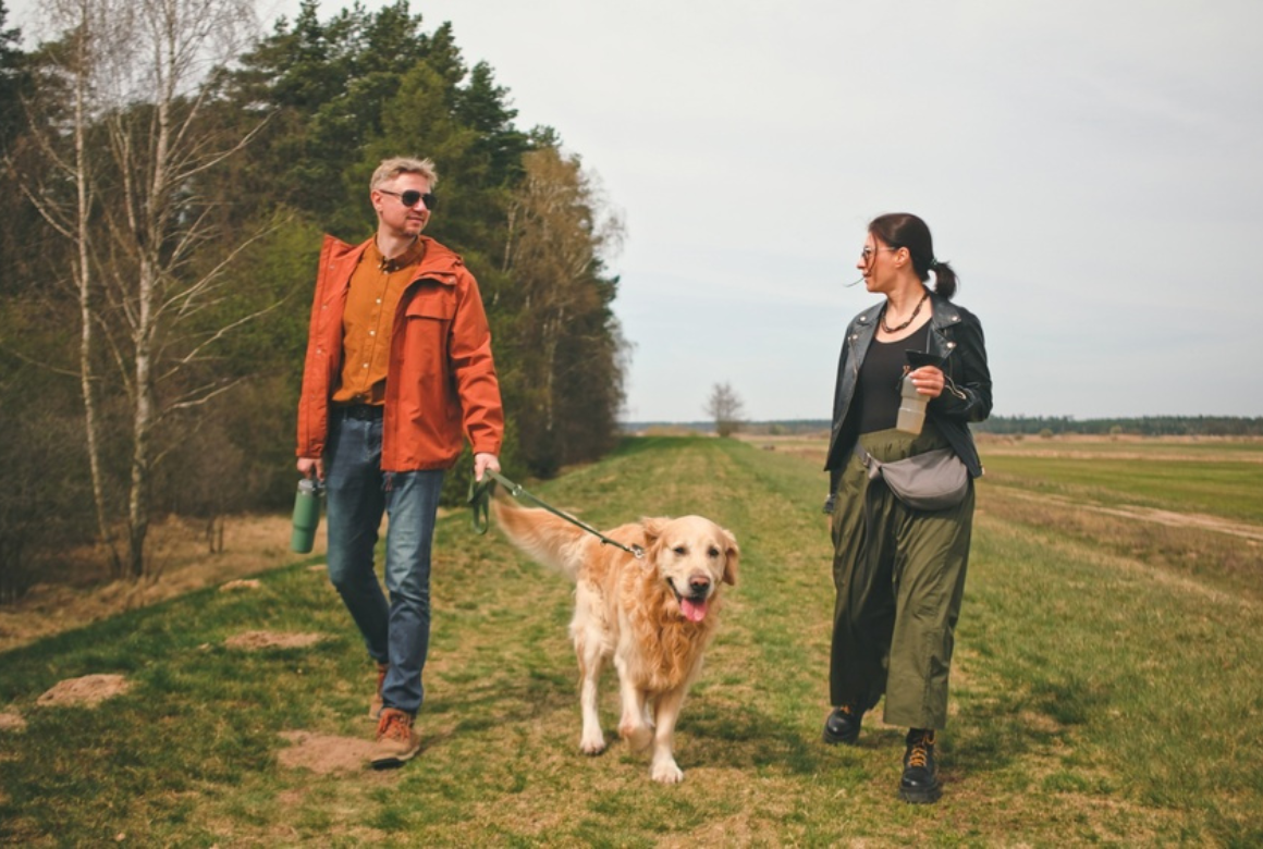 Randonnée avec son chien
