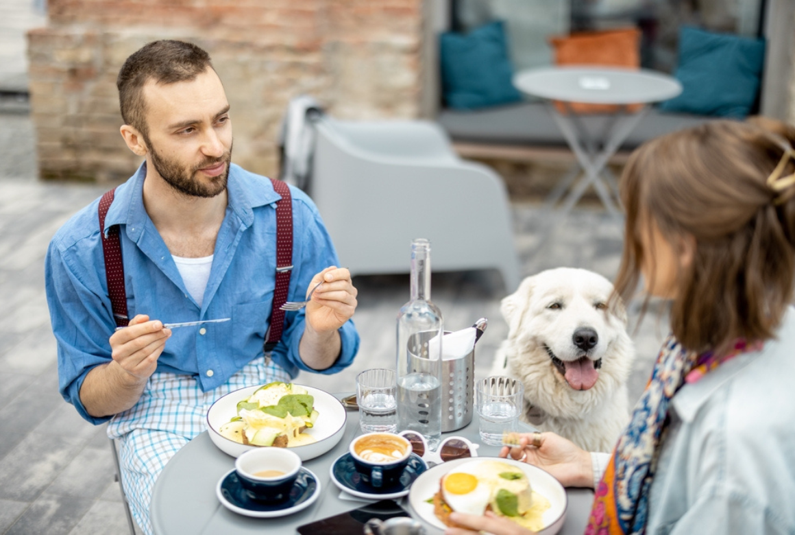 Chien au restaurant