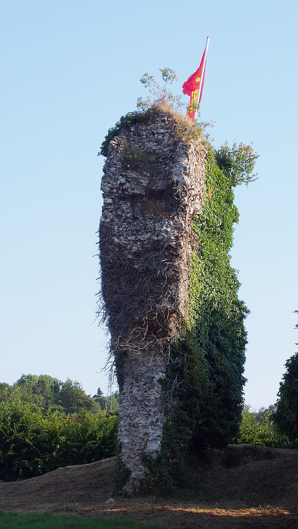 Ruine du Blangy Le Chateau