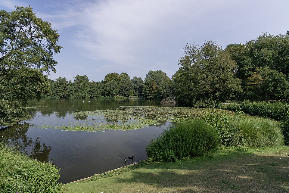 Sortie nature , Le parc de Rouelles