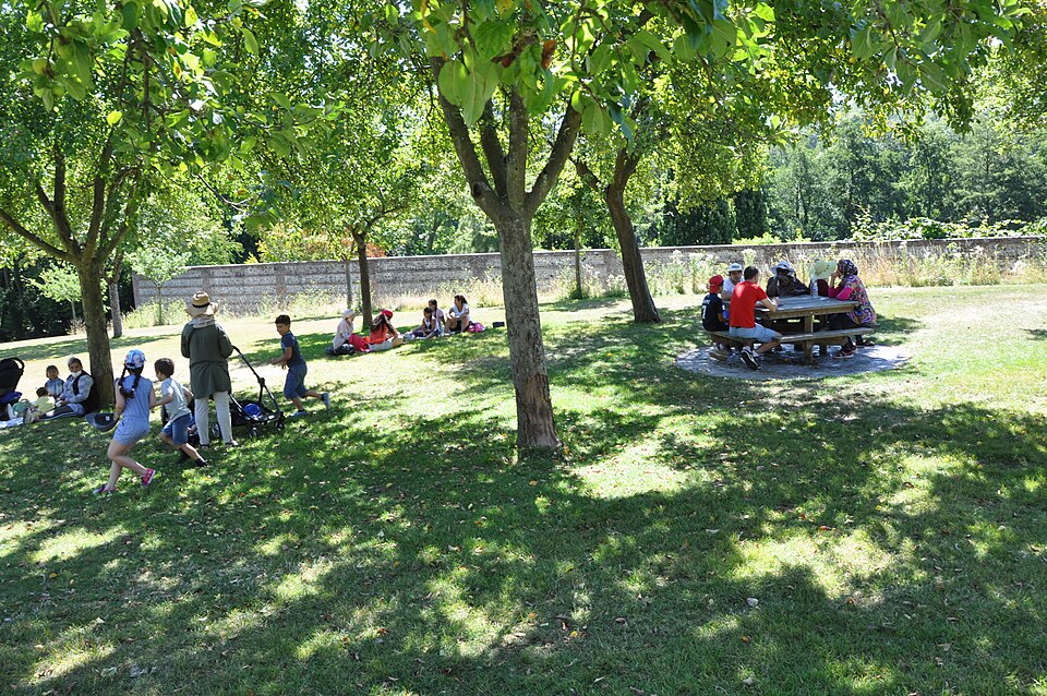Sortie nature , Le parc de Rouelles