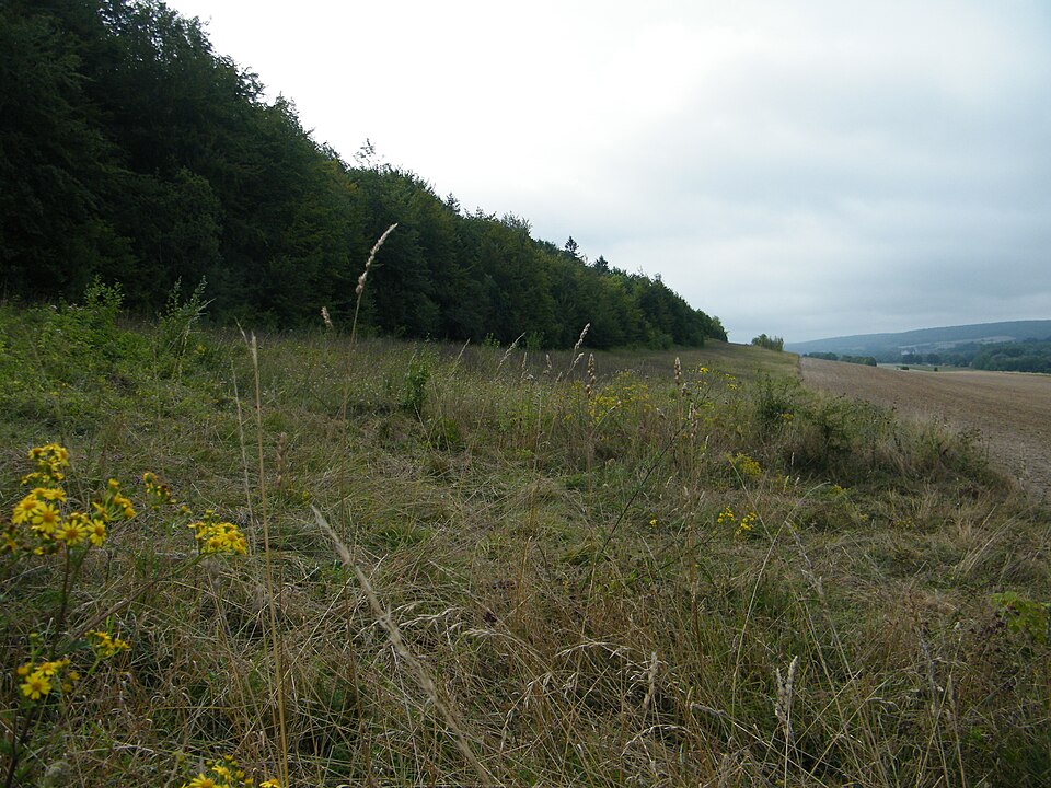 Vallées de la Bresle