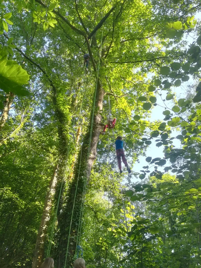 Vertigo