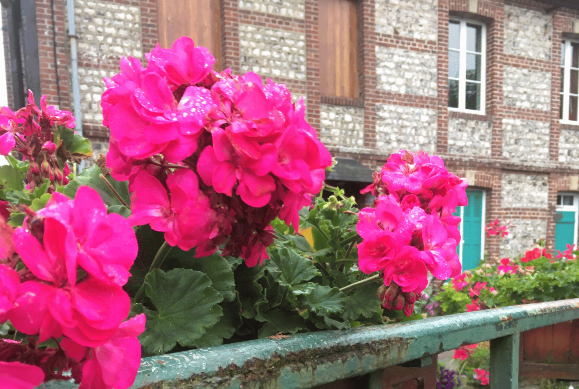 Veules-les-Roses 2