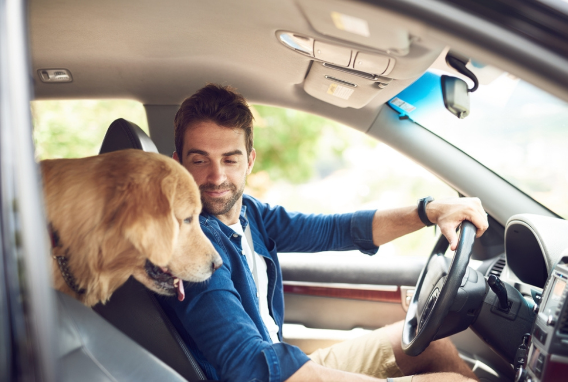 Chien avec son conducteur