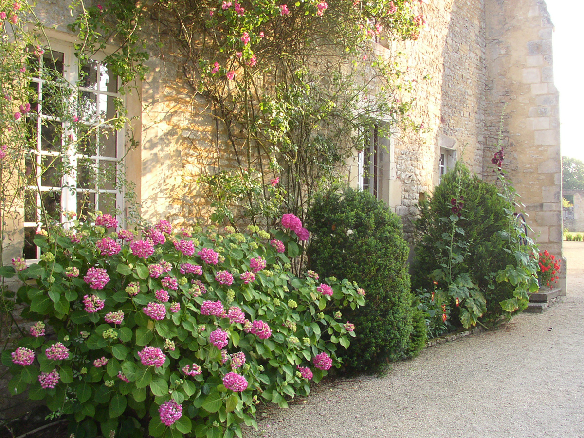 Abbaye Ste Marie aux Dames Villers-CanivetAbbaye-Ste-MariesauxDames-villers-canivet (6)