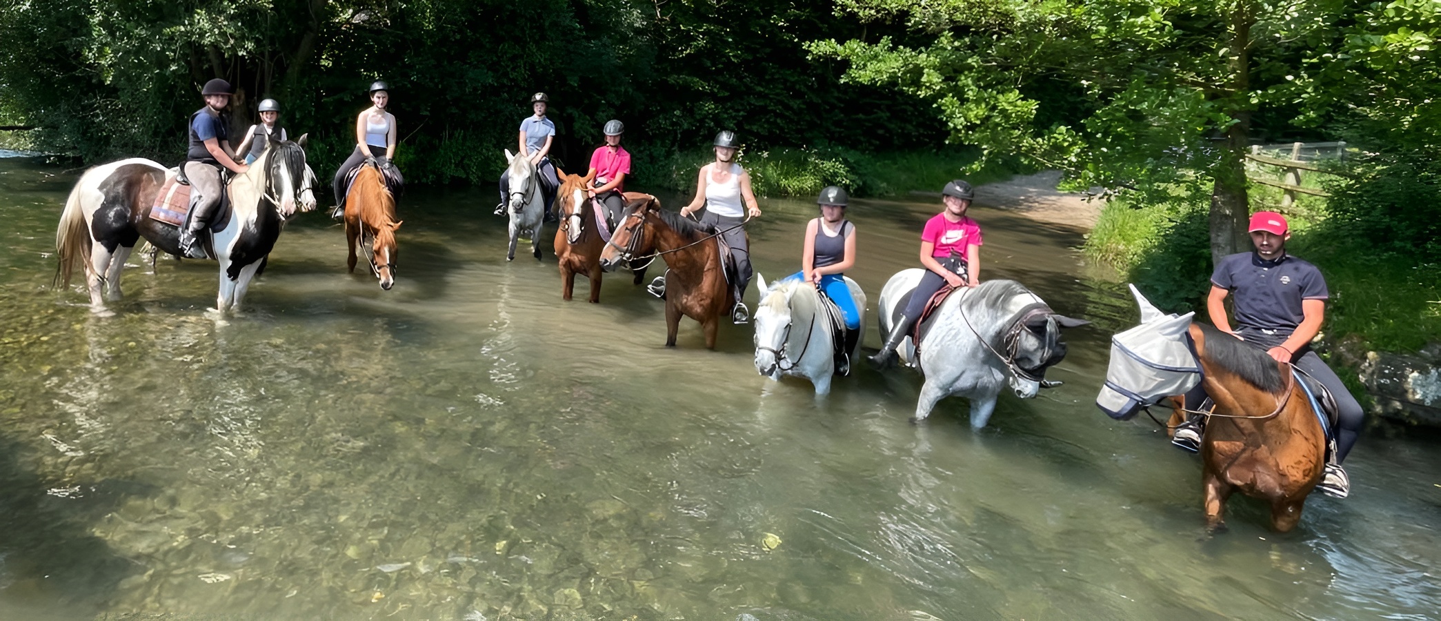 Balade Ecurie Optimum HorsesBalade Ecurie Optimum Horses