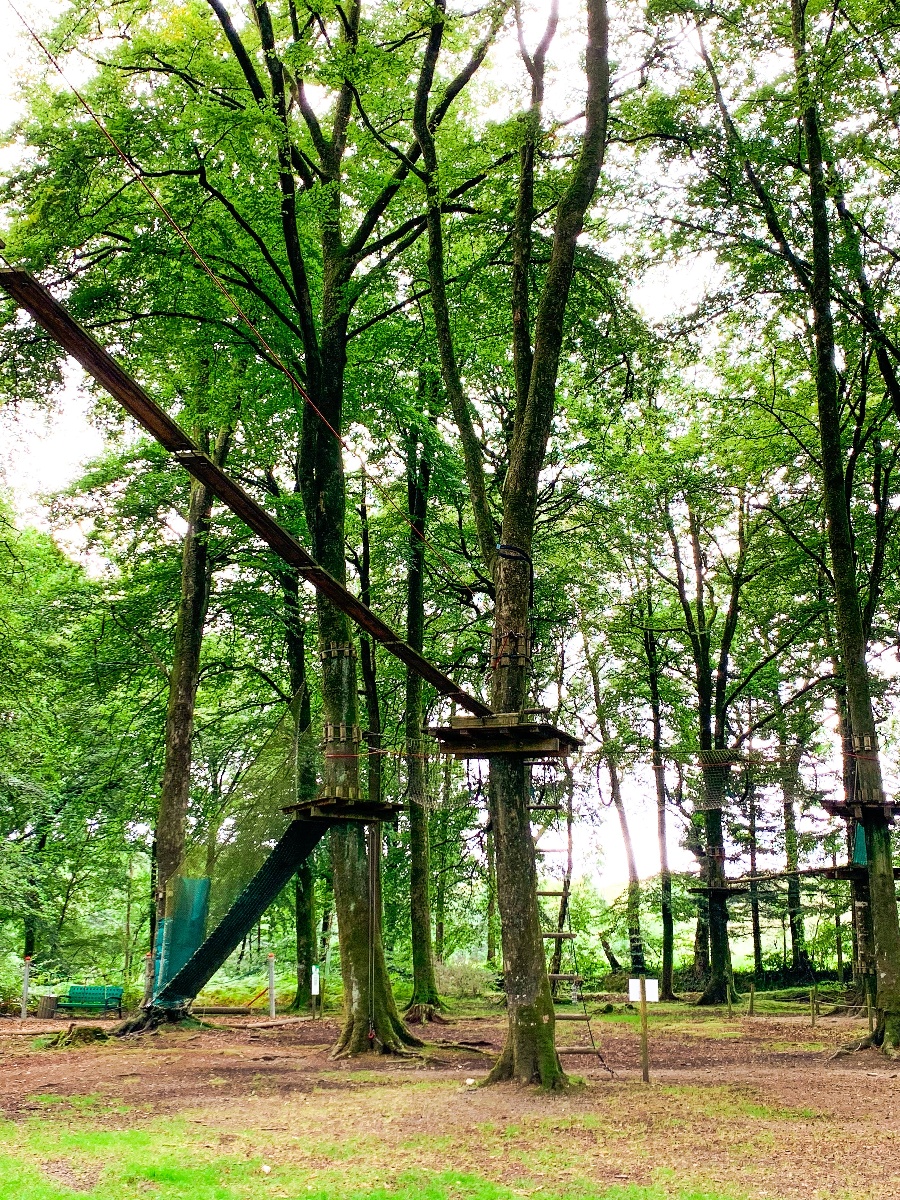 L'Étape en forêtAccrobranche 5