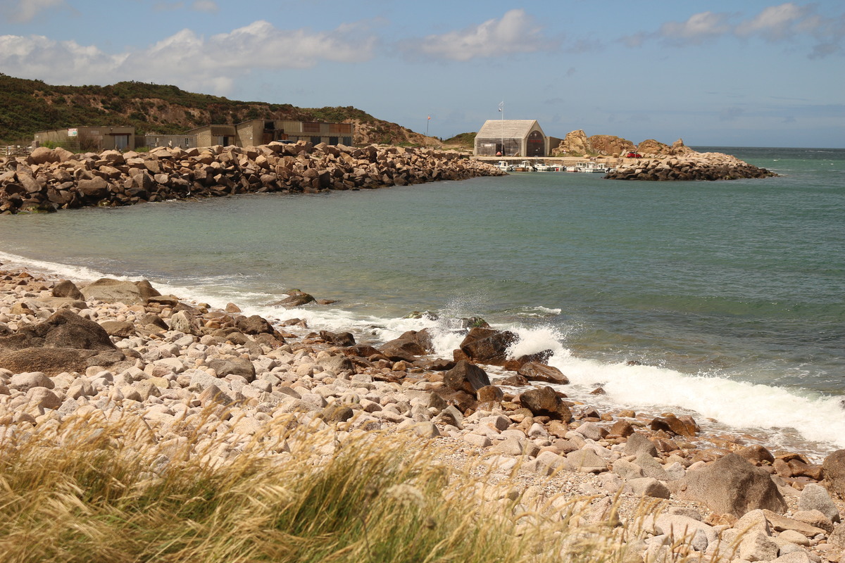 CotenteamFermanville-port-pignot-1