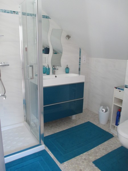 PROPRIETAIREagon-coutainville-aude-asselin-gite (2)