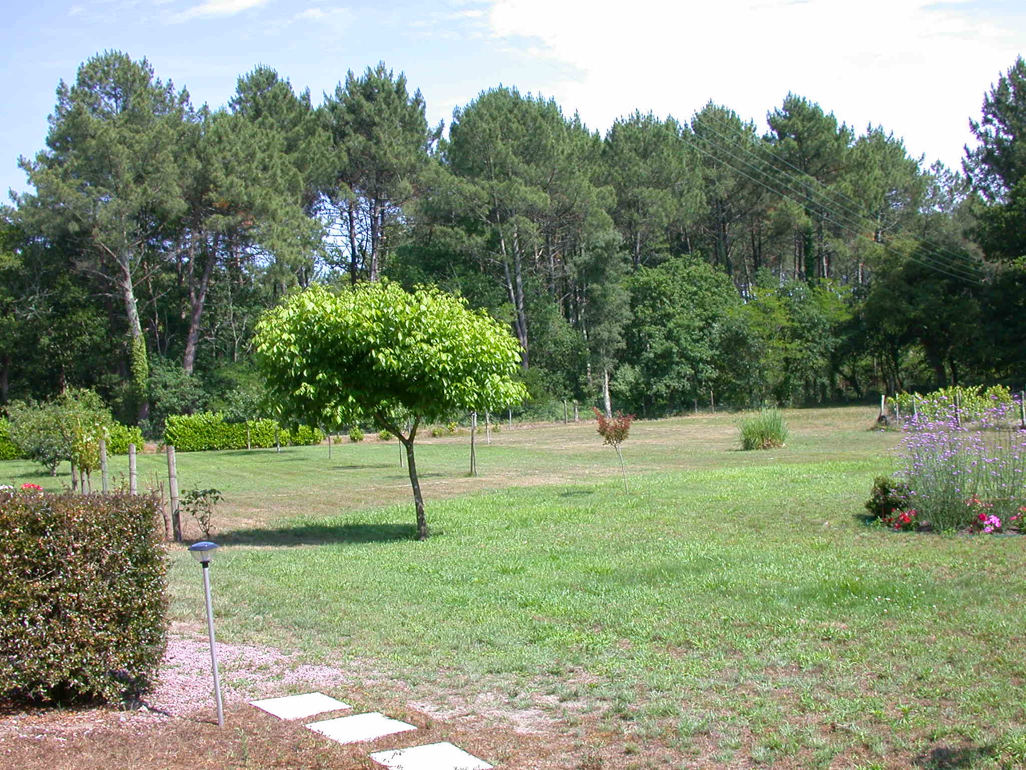 QuintalAppartement Au tusteut_Messanges_Landes Atlantique Sud
