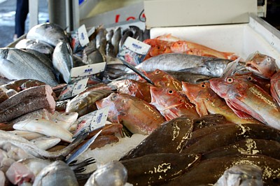Ot CapbretonAPPLI-MARCHE POISSONS