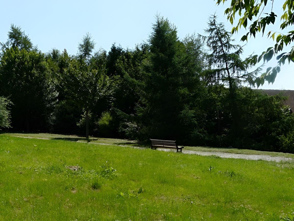OT LisieuxArboretum de lisieux (3)