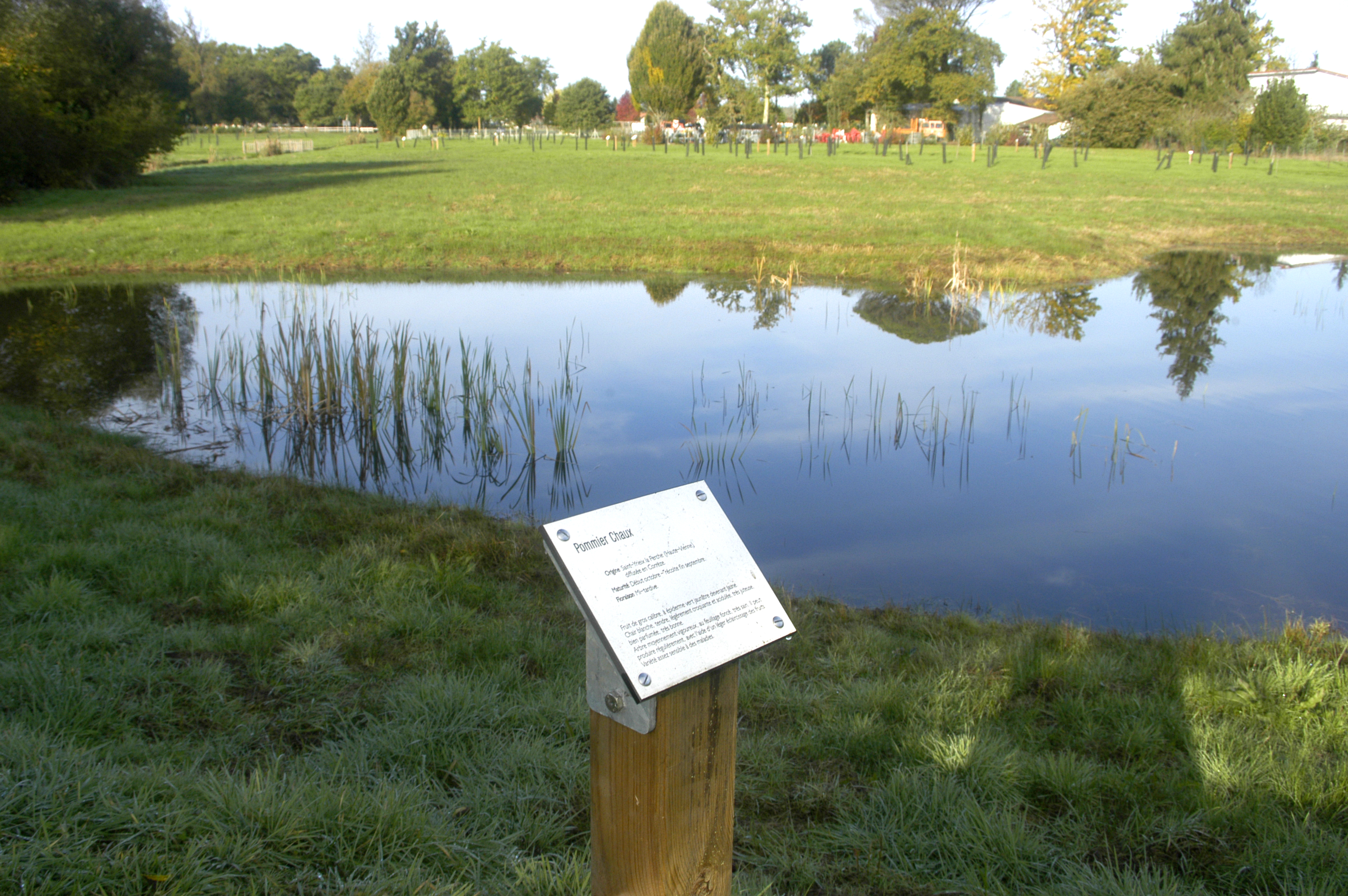 © OT MORCENXarborétum3