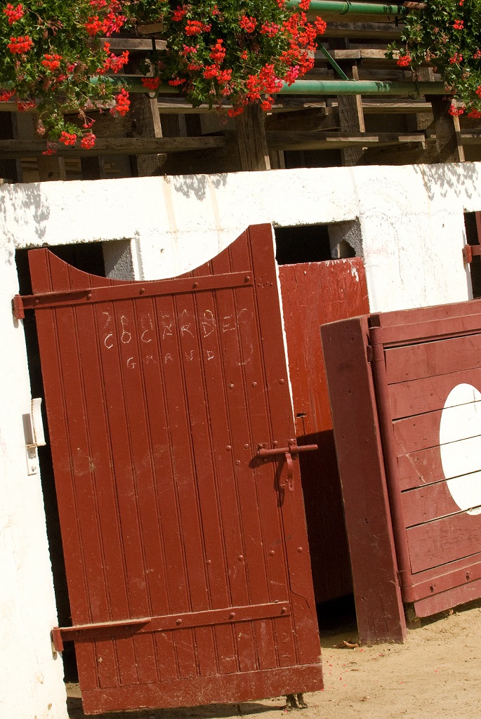 Office de Tourisme Terres de ChalosseArènes de Larbey - Porte