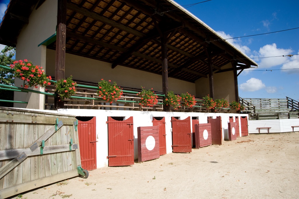 Office de Tourisme Terres de ChalosseArènes de Larbey - Tribunes
