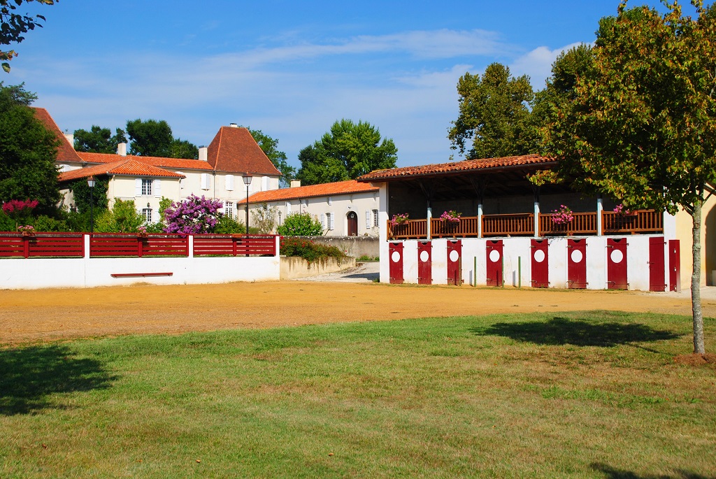 OT Terres de ChalosseArènes et chateau de Caupenne